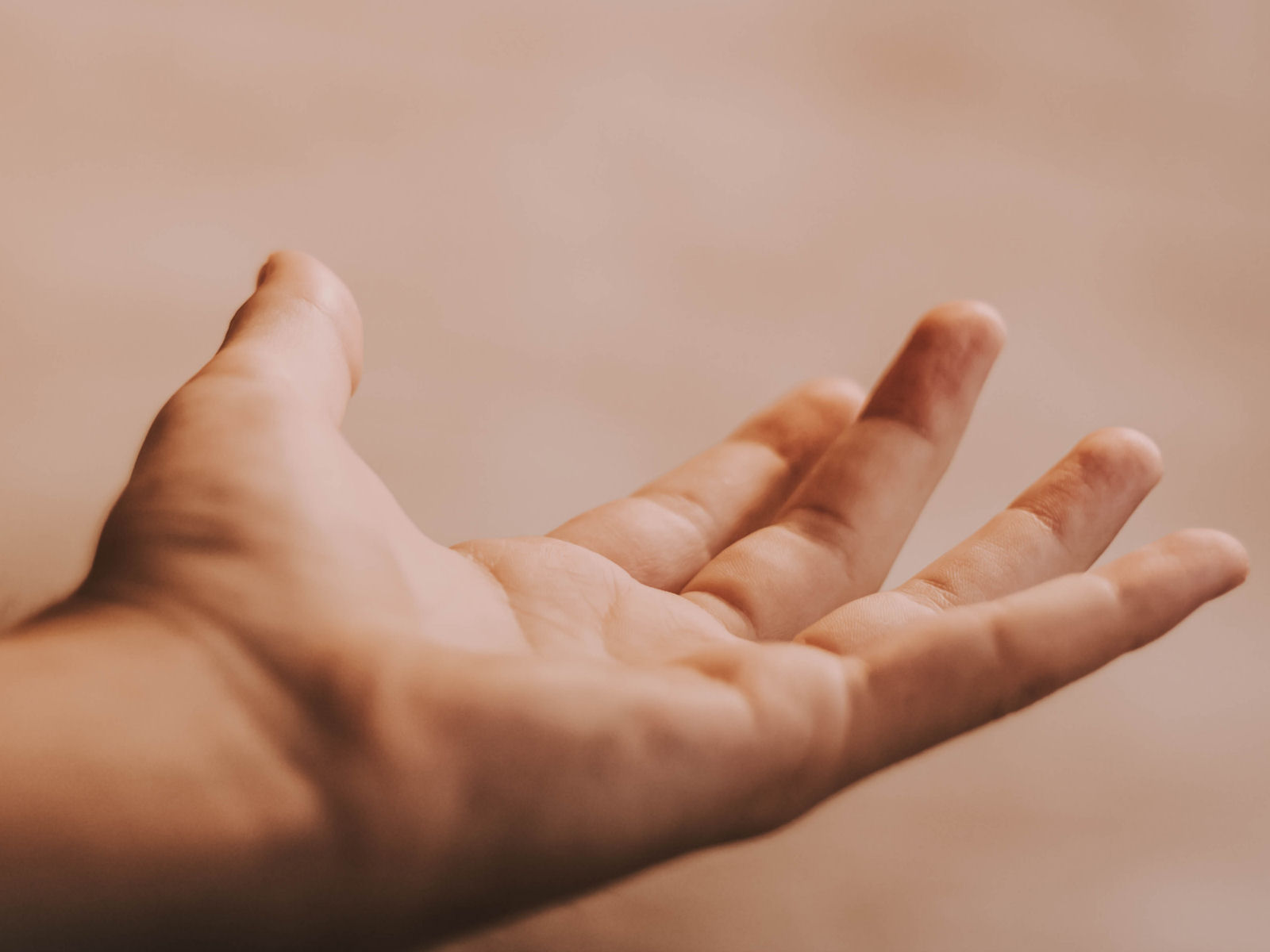 What do Reflexologists do?